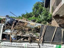 Best Foreclosure Cleanout  in Chester, VA